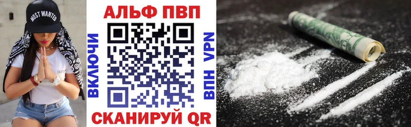 Alfa_PVP СК КРИС  Кимры 