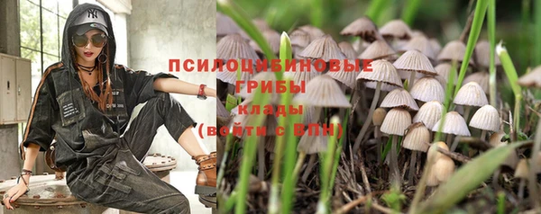 не бодяженный Алзамай