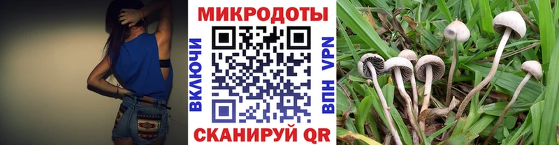 Псилоцибиновые грибы мицелий где продают это состав Кимры