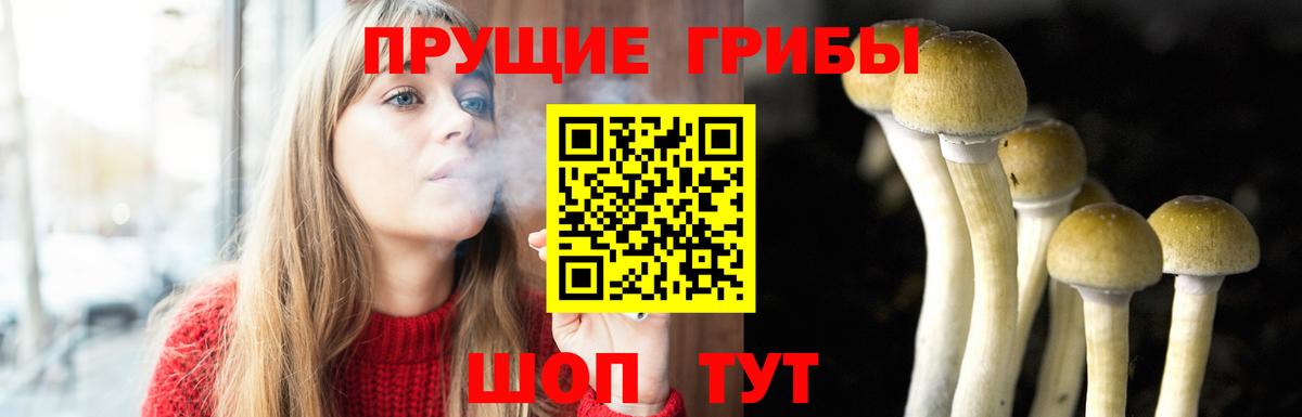 Псилоцибиновые грибы GOLDEN TEACHER  Вход с VPN  Кимры 