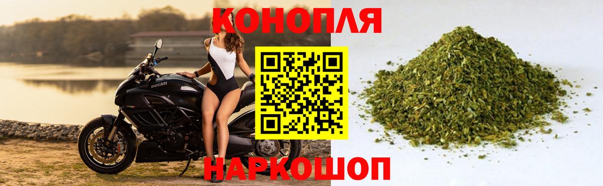 Шишки марихуана планчик  Шишки марихуана White Widow  Кимры  Конопля конопля  Вход с VPN 